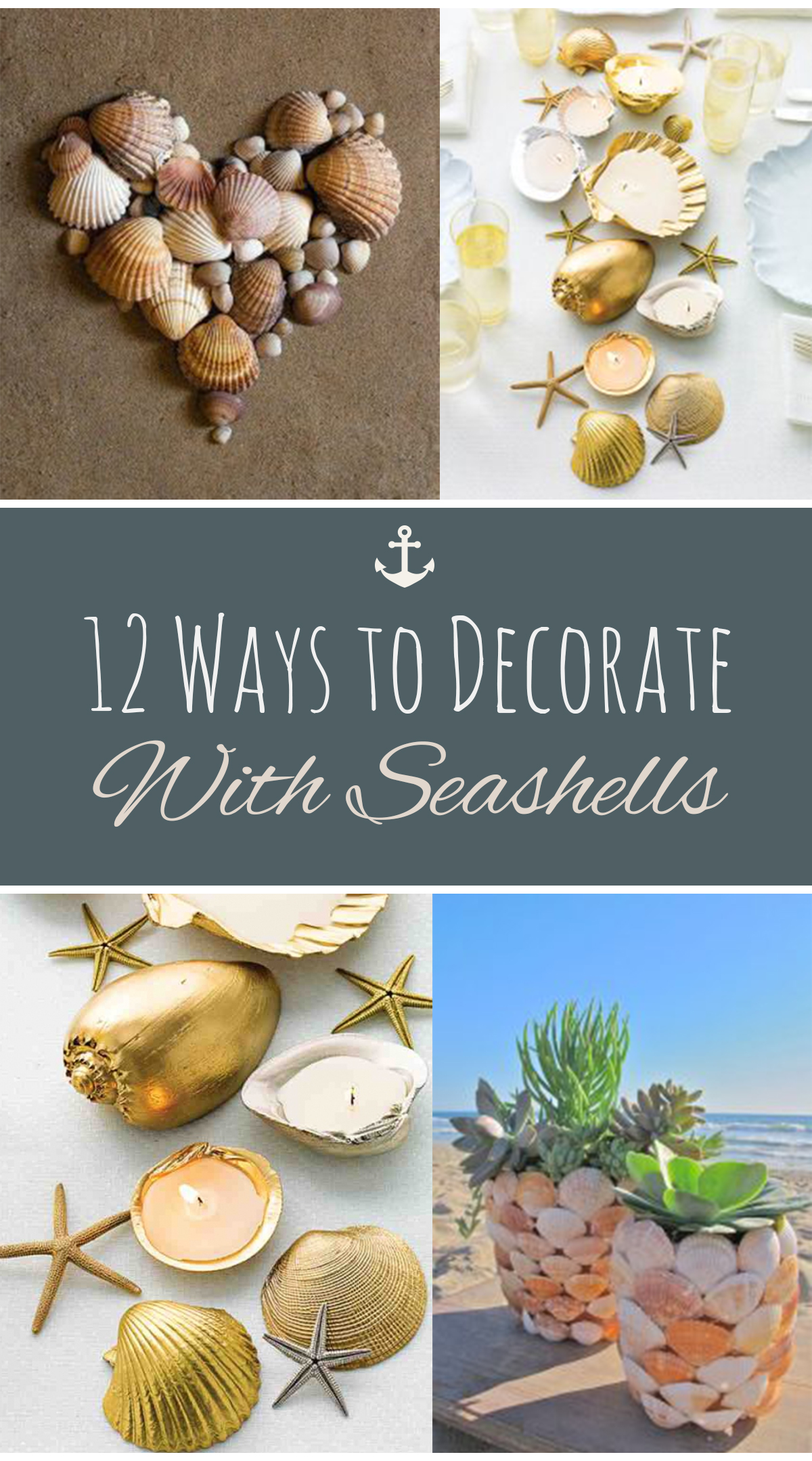 12 Ways to Decorate With Seashells | Sand Between My Piggies- Beach