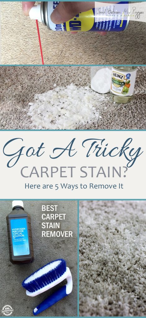 Carpet Stains, Carpet Stain Cleaning Tips, How to Clean Carpet Stains, Easy Ways to Clean Carpet Stains, Cleaning Tips, Cleaning Hacks, How to Clean Your Home, Home Cleaning TIps and Tricks #Cleaning #CarpetCleaning #CleanHome #CleanHomeTips #CleanCarpetHacks