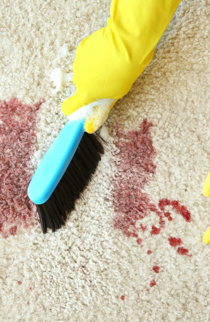 Carpet stains are ugly, slightly embarrassing, and completely awful to remove. Who knew those fuzzies under our feet were so dang absorbent? If you get blood on your carpet, try using your own saliva. It sounds weird, I know, but it works!