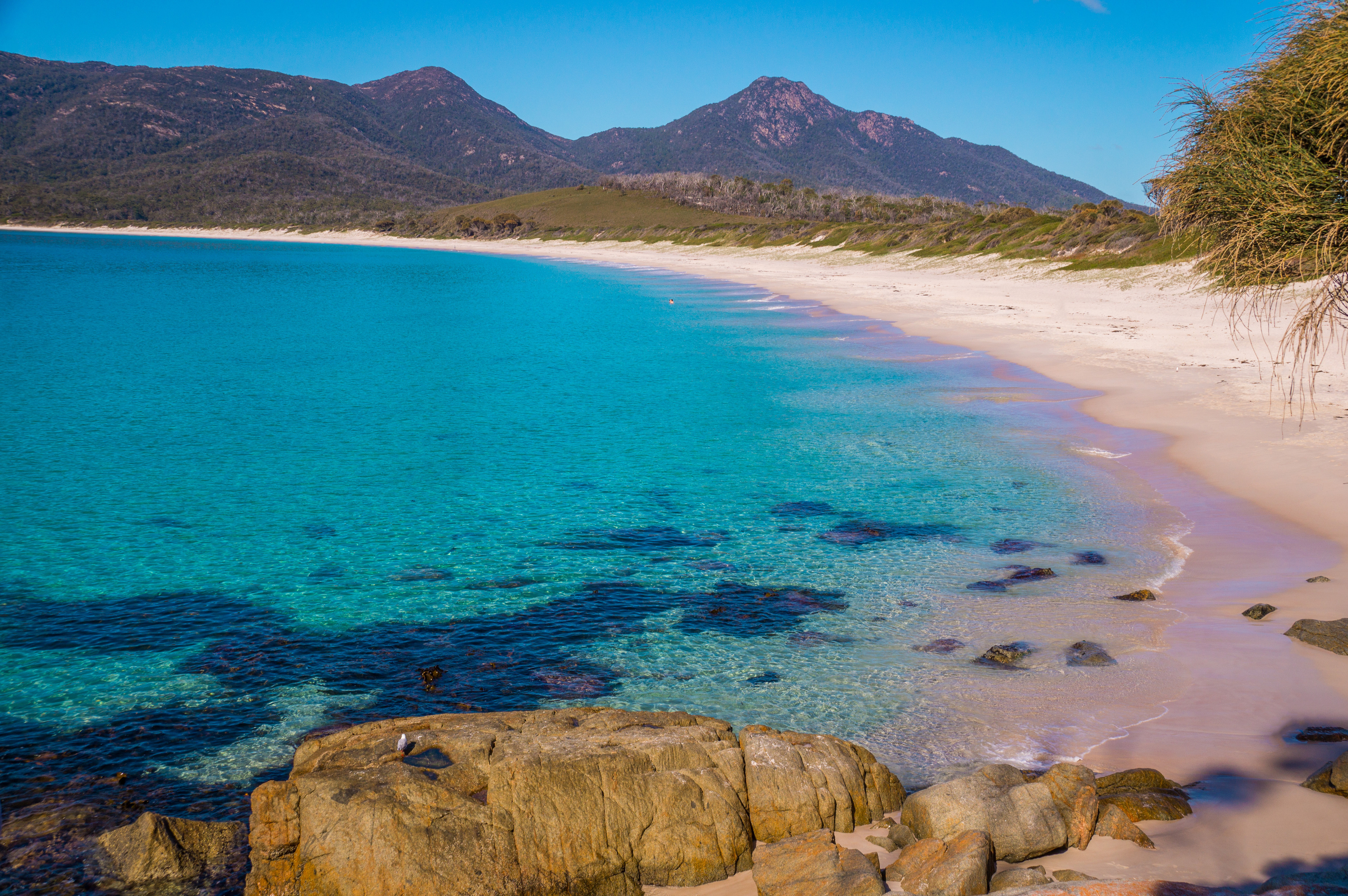 down under | beach | beaches down under | beaches | Australia | beaches in Australia | Australian beaches | must see beaches | must see beaches in Australia