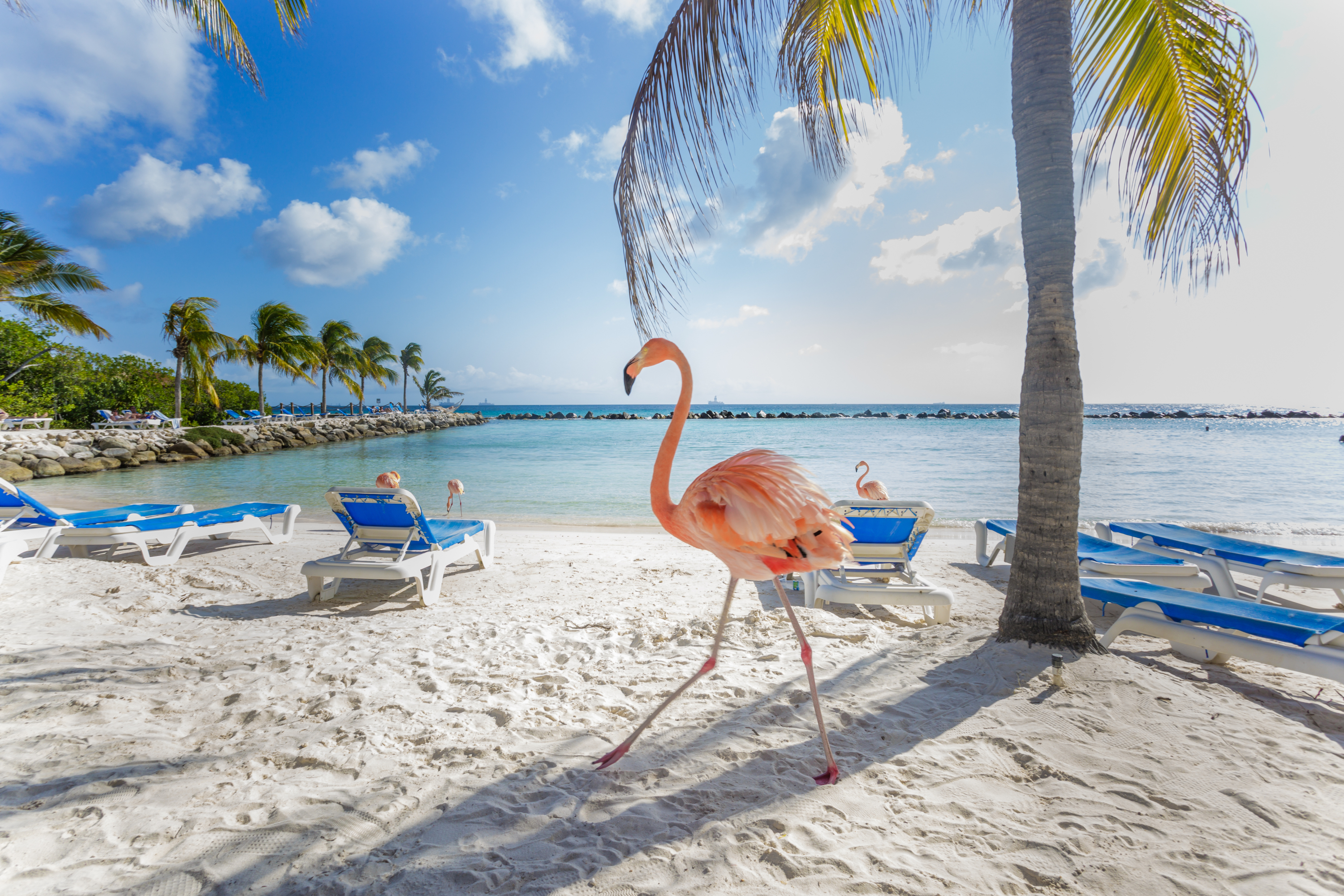 Aruba | scuba | things to do in Aruba | scuba diving in Aruba | vacation | destinations | vacation destinations