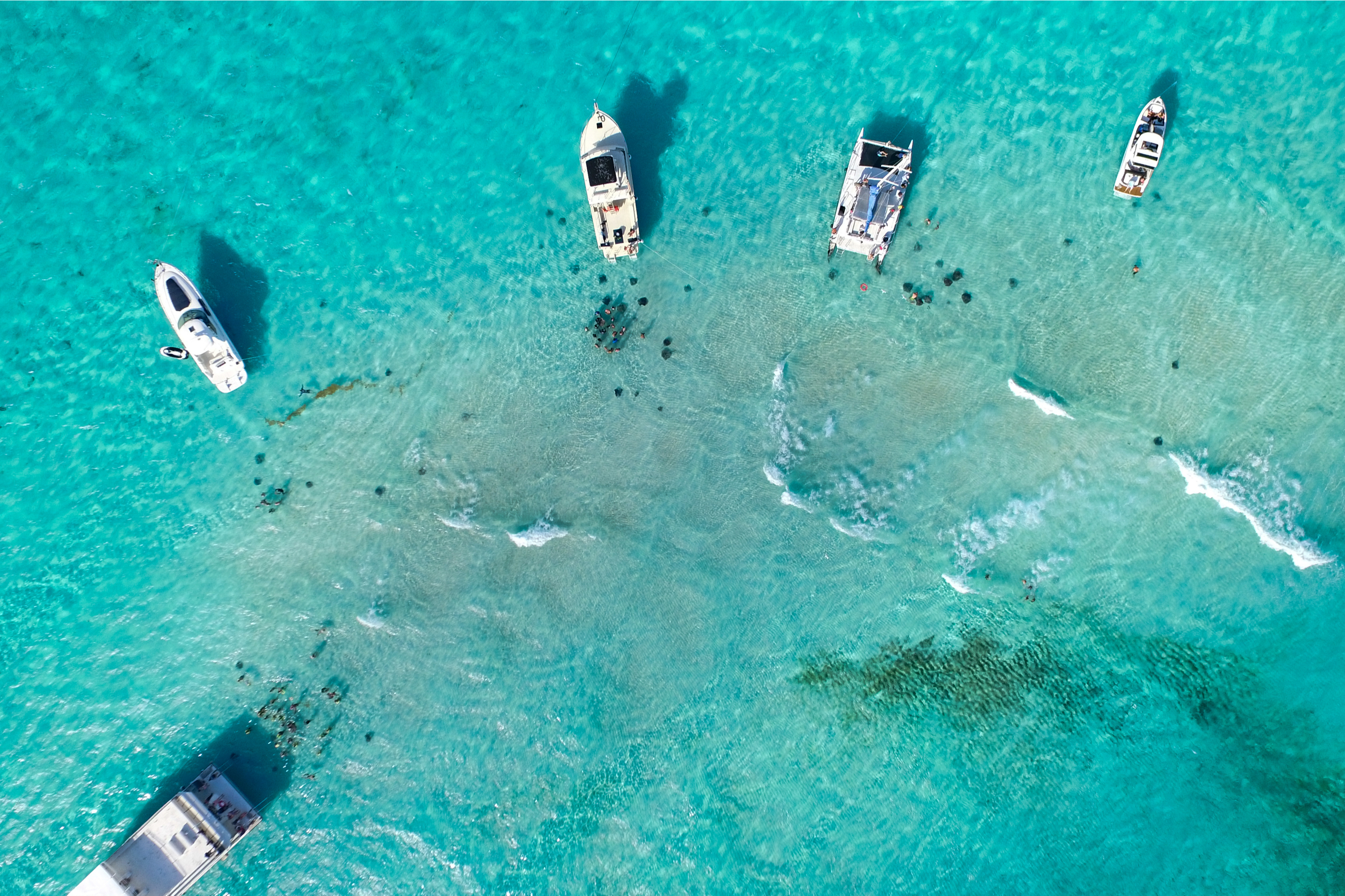 Are you planning your next vacation? Consider going to the Cayman Islands! Here's everything you need to know about why it should be at the top of your list!
