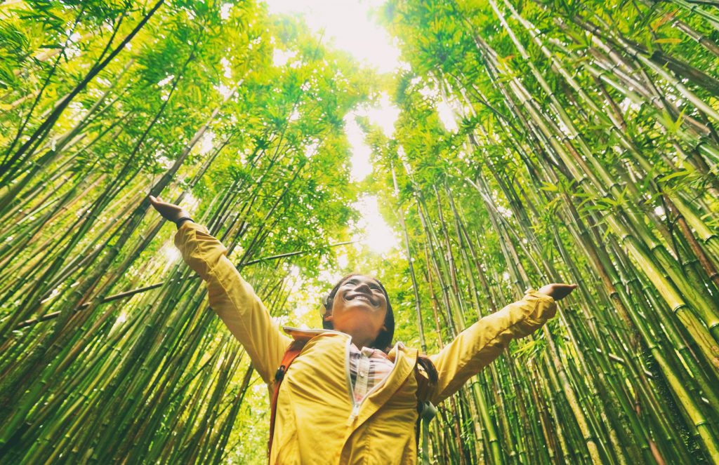 If you're trying to be more eco-friendly, this is for you! Here are some of my top eco-friendly travel tips. If you can, travel by car. It is actually better for the environment than flying.